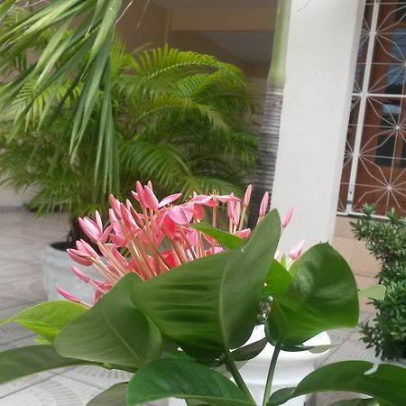 Each Hostel Da Amazonia Манаус Екстериор снимка